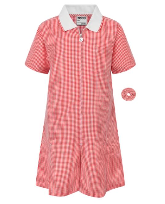 red gingham front.JPG