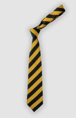 Harris Billericay School Tie
