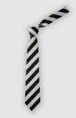 Harris Billericay School Tie