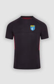 Harris Kingswood Academy PE Top