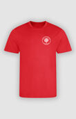 Holly Trees Primary - PE T-Shirt in house colours