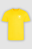Holly Trees Primary - PE T-Shirt in house colours
