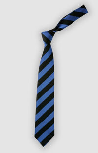 Harris Billericay School Tie