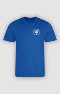 Holly Trees Primary - PE T-Shirt in house colours
