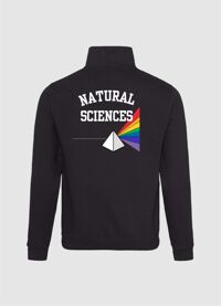 NatSci Sophomore ¼ zip sweatshirt