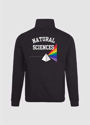 NatSci Sophomore ¼ zip sweatshirt