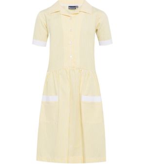 Yellow Stripe Summer Dress