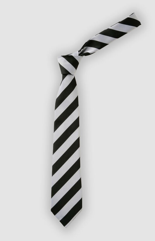 Harris Billericay School Tie