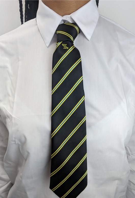 Newport High School Tie